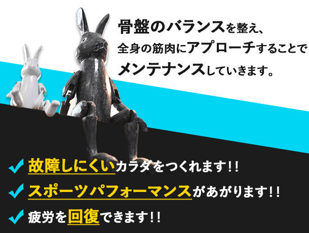 骨盤のバランスを整え、全身の筋肉にアプローチすることでメンテナンスしていきます。